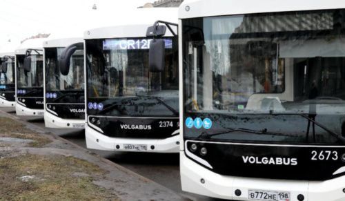 Петербуржцам предложили выбрать цвет новых электробусов