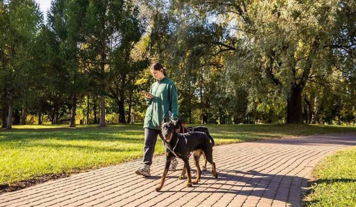 Ленобласть опровергла слухи о планируемых ограничениях на мобильный интернет Ленобласть опровергла слухи о планируемых ограничениях на мобильный интернет