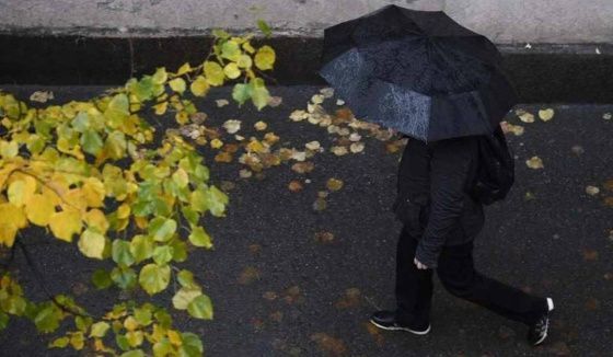 Синоптик Леус сообщил о погодных условиях в Петербурге на 28 октября