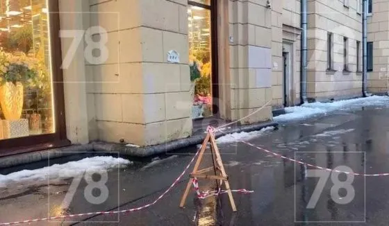 В Петербурге женщине с ребёнком в коляске удалось выжить после падения на них глыбы льда