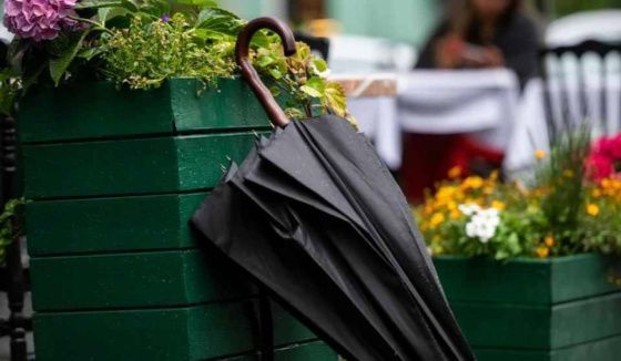 Михаил Леус рассказал о погоде в Петербурге 25 марта 