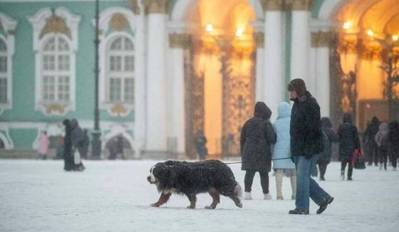 Аномальный мороз и снегопад придут в Петербург 26 января