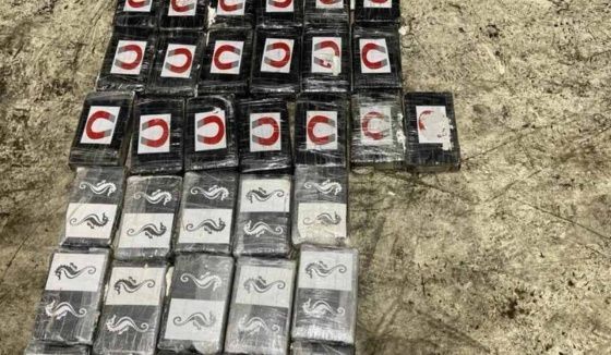В Петербурге задержали крупную партию кокаина из Латинской Америки