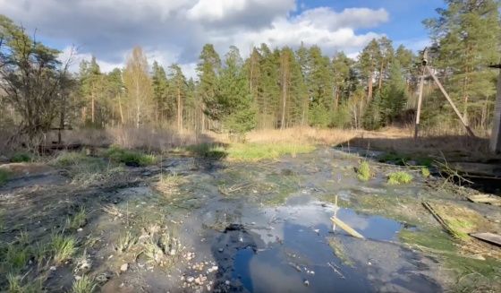 "Леноблводоканал" обязали почистить очистные сооружения в Приозерском районе