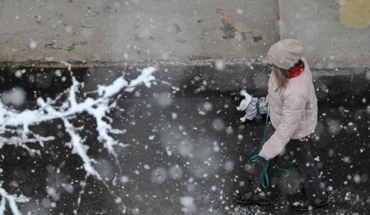 Синоптик Леус рассказал о прогнозе погоды в Петербурге на 2 марта