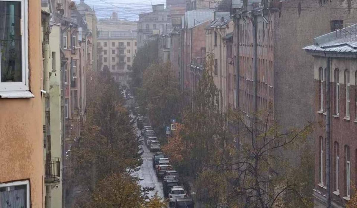 Леус рассказал о погоде в Петербурге в последний день октября Леус рассказал о погоде в Петербурге в последний день октября