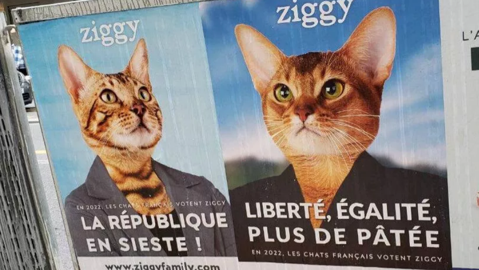 В Париже появились &quot;предвыборные плакаты&quot; с котами
