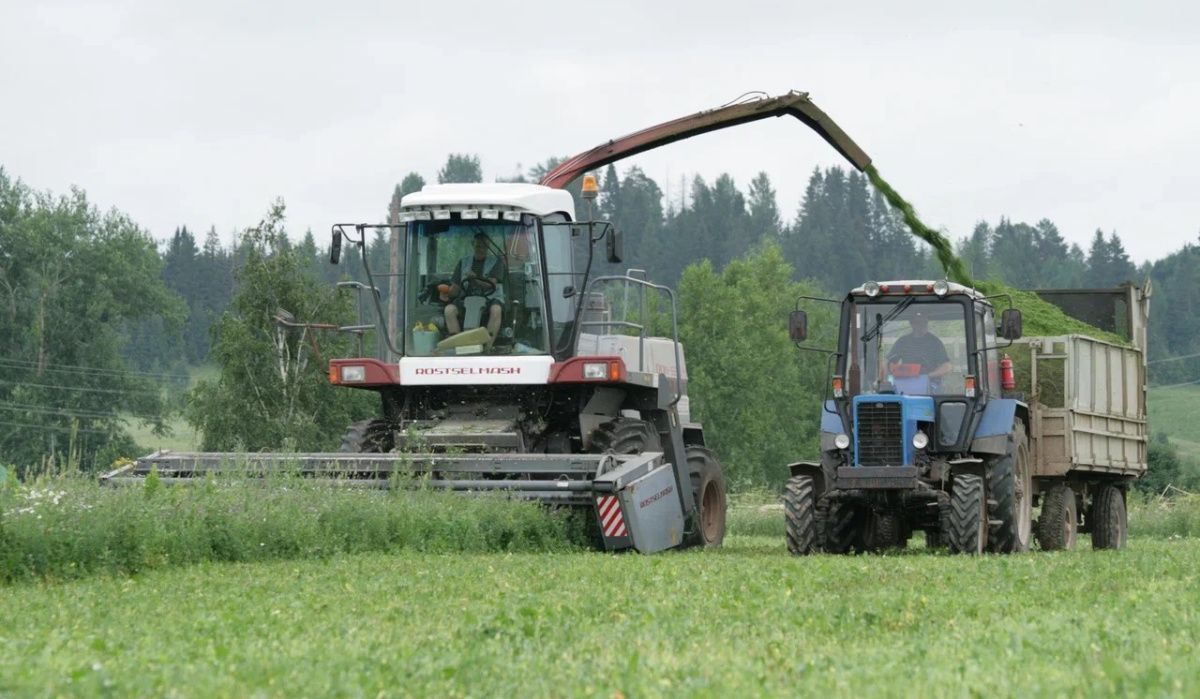 АО &quot;Птицефабрика Чайковская&quot; заканчивает заготовку витаминно-травяной муки