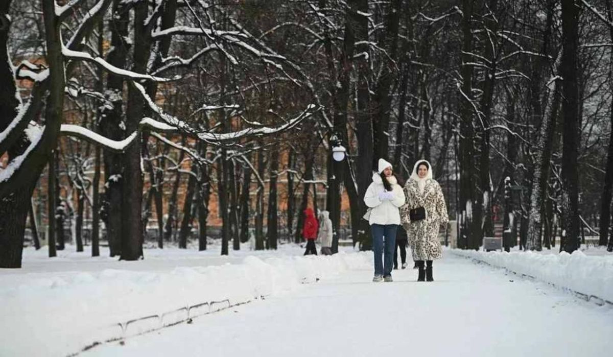 Колесов: холод ещё вернётся в город на Неве