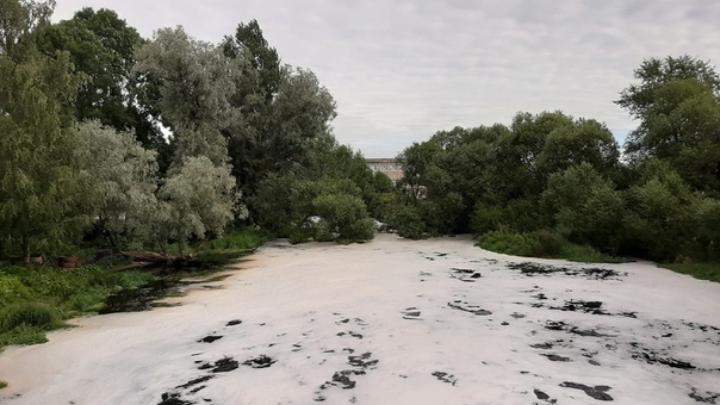 Власти выясняют причину появления необычной пены на реке в Ленобласти