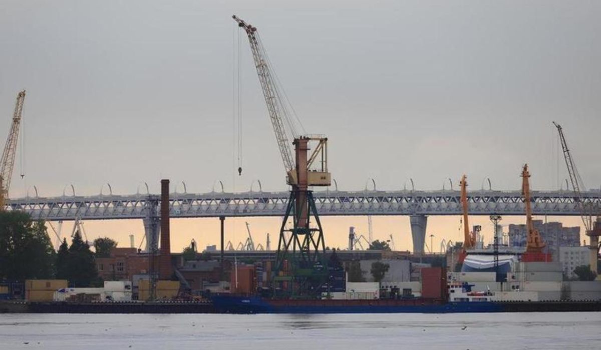 В Петербурге грузооборот Большого порта за полгода вырос на 9,3%  