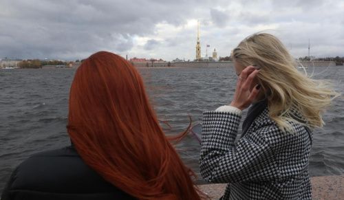 В Петербурге объявили жёлтый уровень опасности из-за сильного ветра