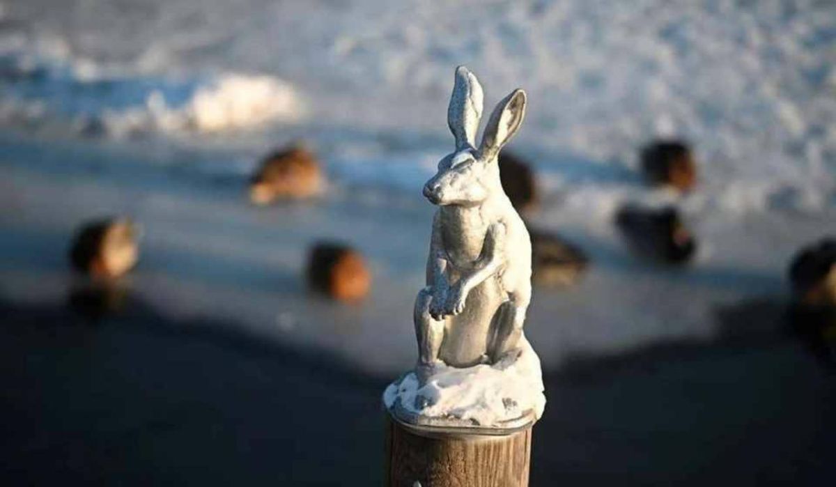 Прогноз Леуса: Какая погода ожидает Петербург 27 января