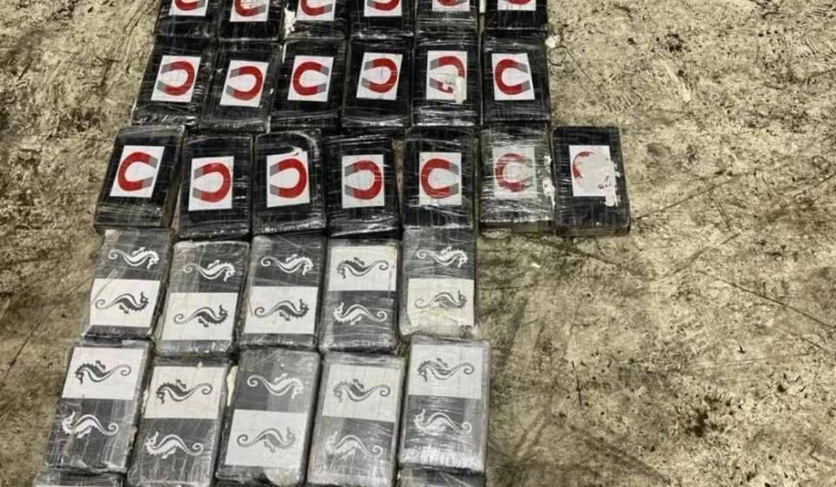 В Петербурге задержали крупную партию кокаина из Латинской Америки