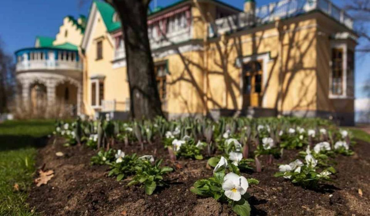 Книжные выходные пройдут в Александрии 12 и 13 июня
