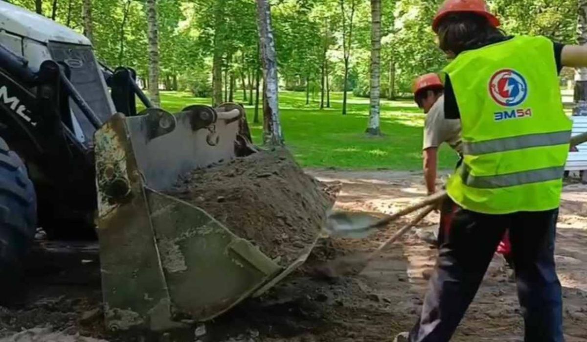 В Березовом саду Выборгского района Санкт-Петербурга установят новые уличные фонари