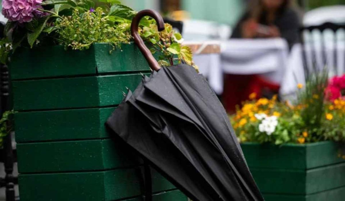 Михаил Леус рассказал о погоде в Петербурге 25 марта 