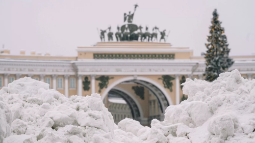 Общественница Дмитриева: власти Петербурга должны услышать замечания блокадников об уборке снега 