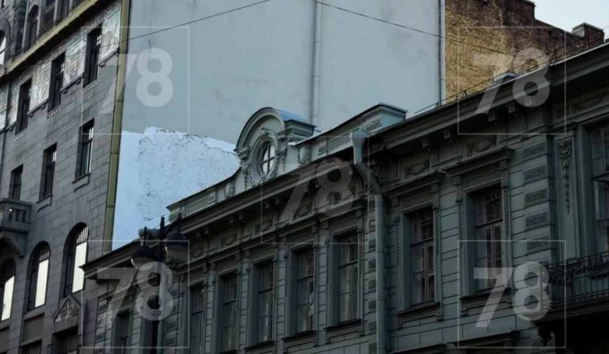 Муж директора БДТ пострадал от упавшей лепнины с особняка Салова