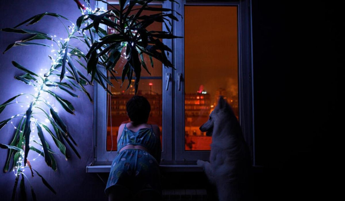 В Ленобласти разрешили новогодние фейерверки