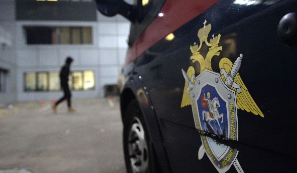 В Санкт-Петербурге раскрыты новые детали гибели 7-летних близнецов