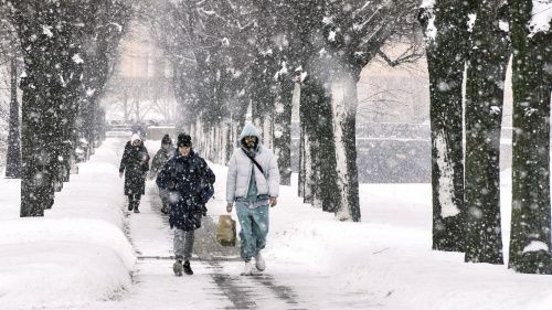 В Петербурге выпал первый снег