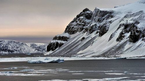 Петербургский комитет по делам Арктики назвали неэффективным