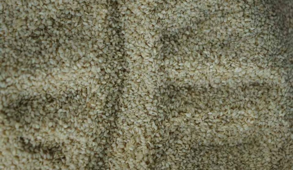 28 тонн индийского кунжута не пустили в Петербург