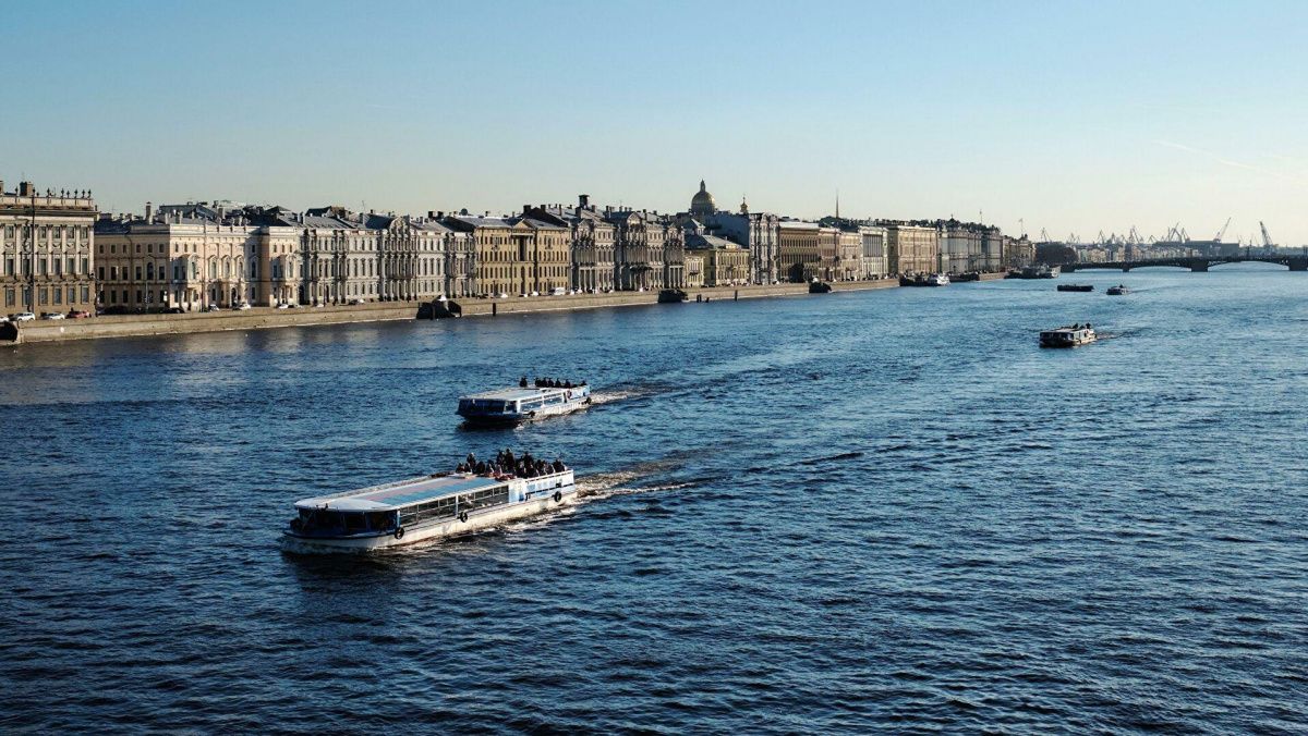 В Петербурге аномальная жара может погубить рыбу в водоёмах