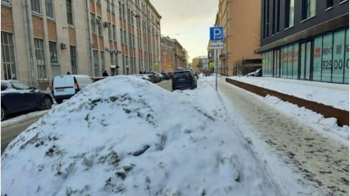 Жители Санкт-Петербурга требуют расчистить улицу Александра Невского 
