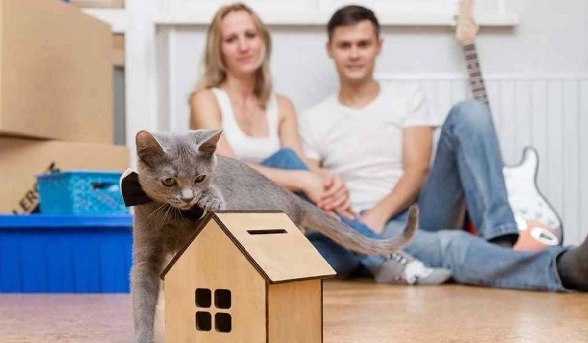 Стоимость новостроек в Петербурге выросла на 21,8%