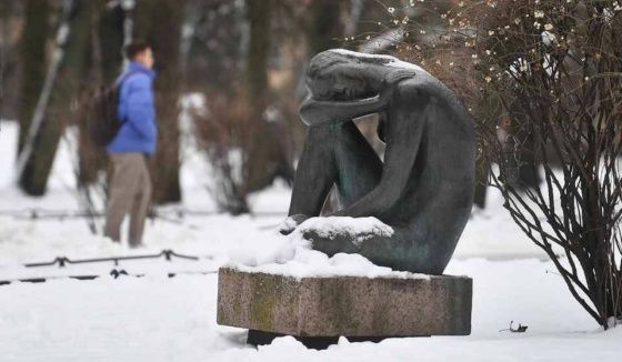 Леус: прогноз погоды в Петербурге на 23 января