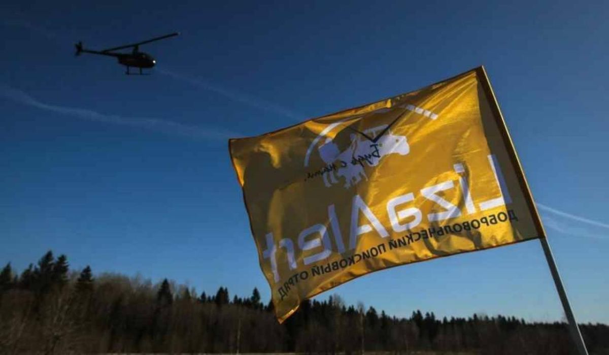 В Петербурге и Ленобласти в первый месяц весны пропали почти 270 человек