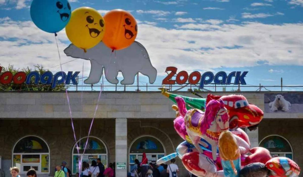Вход в Ленинградский зоопарк по льготе можно будет подтвердить через МАХ