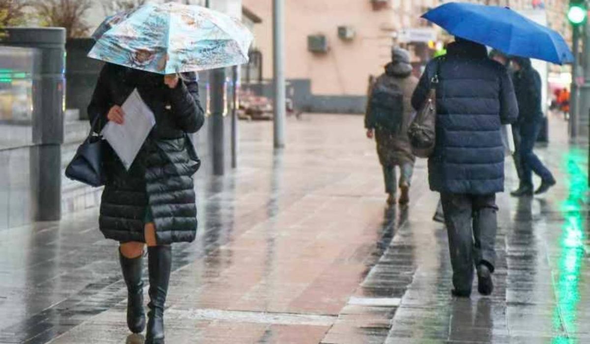 Леус рассказал о погоде в Петербурге 1 декабря