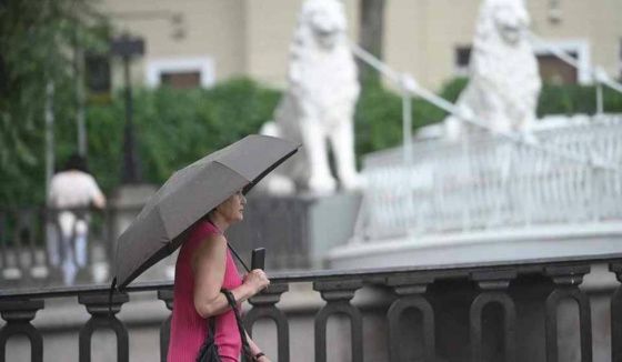 Леус предоставил прогноз погоды в Санкт-Петербурге на 20 августа