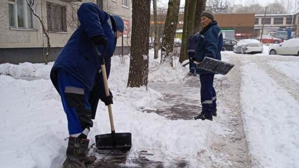 Снегопад выявил нехватку дворников в Санкт-Петербурге