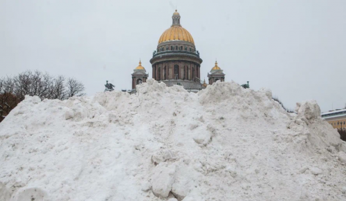 Жители Петербурга считают, что Беглова следует привлечь к ответственности за неубранный снег