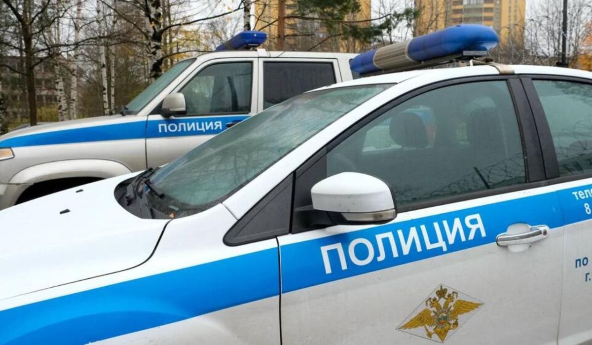 Правоохранители Петербурга задержали ещё одного мигранта из группы треш-блогеров  