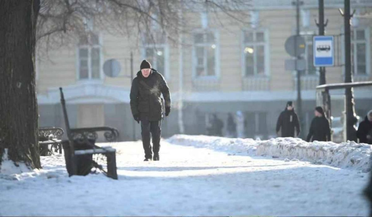 Температура в Петербурге выйдет на уровень климатической нормы
