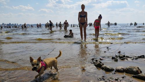 Жителей Петербурга обеспокоил вопрос пляжного отдыха в черте города