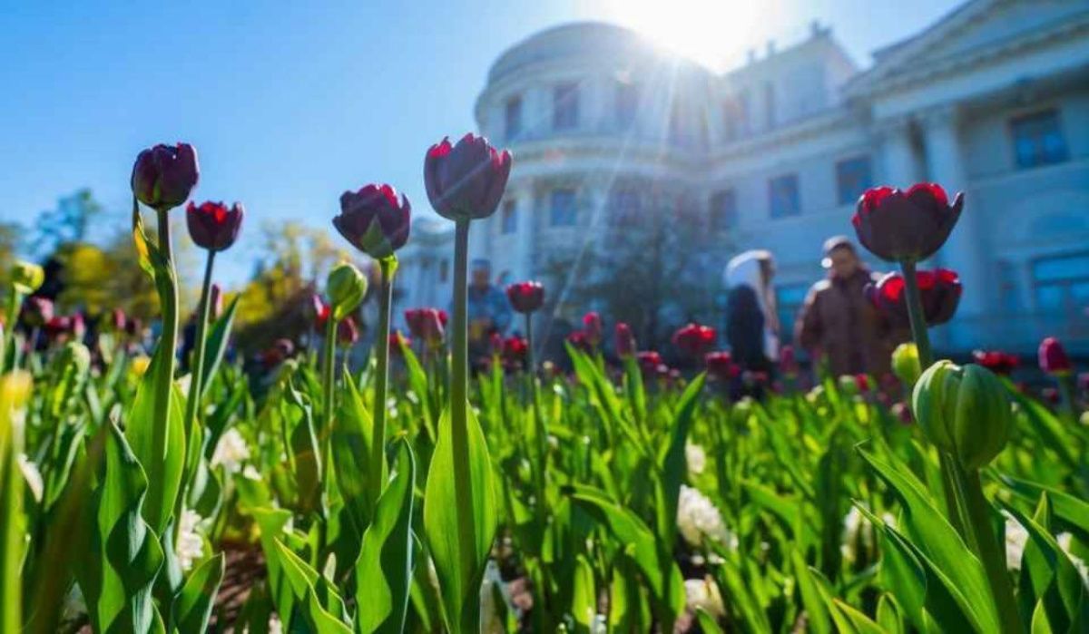 Леус рассказал о погоде в Петербурге 20 апреля