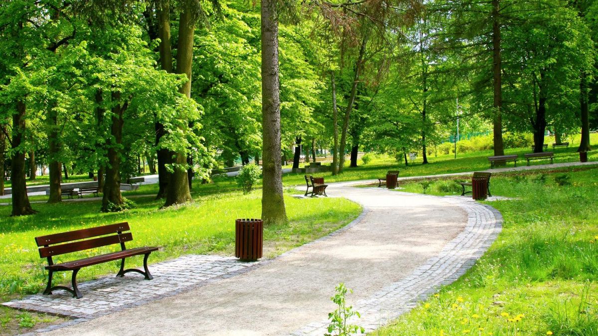 На Васильевском острове могут появиться новые парки и скверы