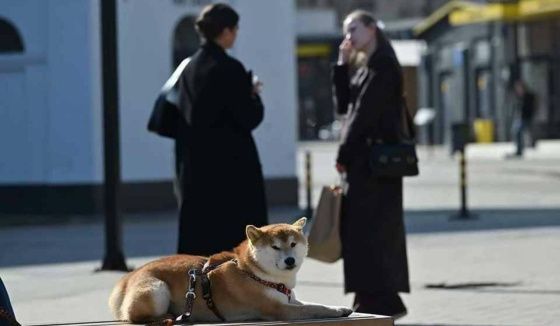 Леус спрогнозировал погоду в Петербурге на 27 марта