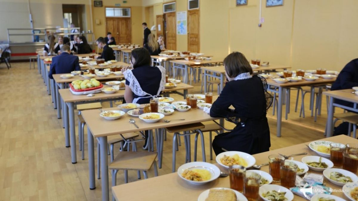 «Артис-Детское питание» под видом «Аркады» будет кормить школы Кировского района