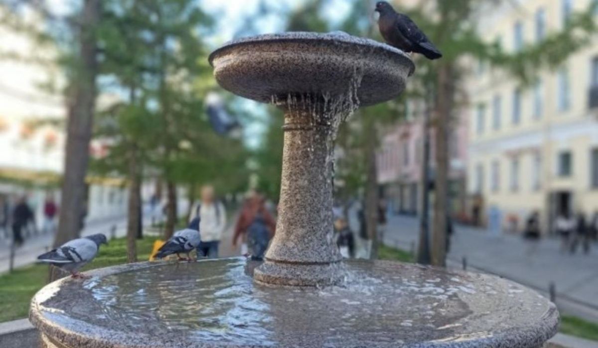 В Петербурге пригрозили отключить фонтаны в День ВДВ 