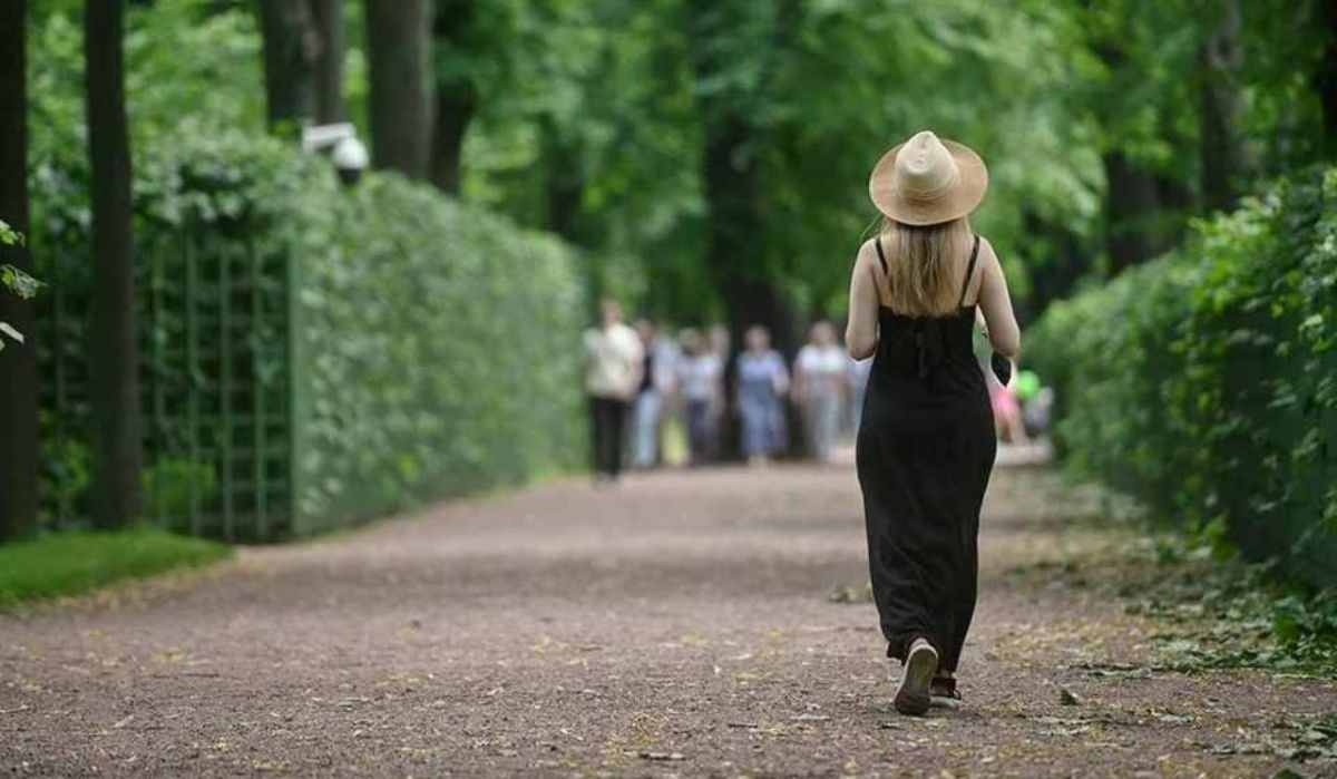 Летний и Михайловский сады откроют для посетителей в начале мая после просушки