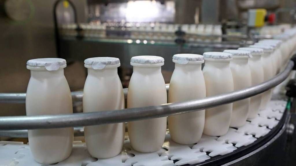 Ленинградская область показала максимальные объёмы реализации молока