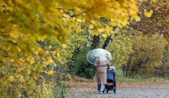 Атмосферный фронт движется через Петербург