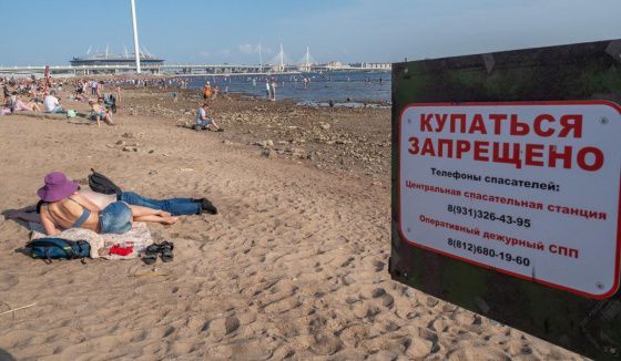 Только три пляжа Петербурга пригодны для купания